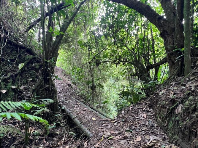Finca en venta en Quiebra De Velez, Manizales, 700 m² · foto 22 de 24