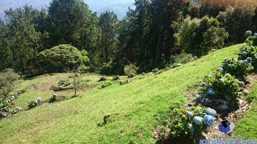 Casa de 5 alcobas en venta en El Salado, Envigado · foto 5 de 21