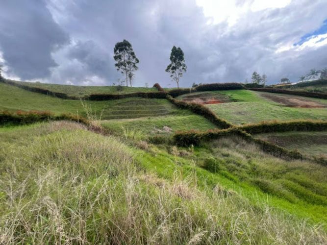 Lote en venta en Rionegro, 2534 m² · foto 2 de 12