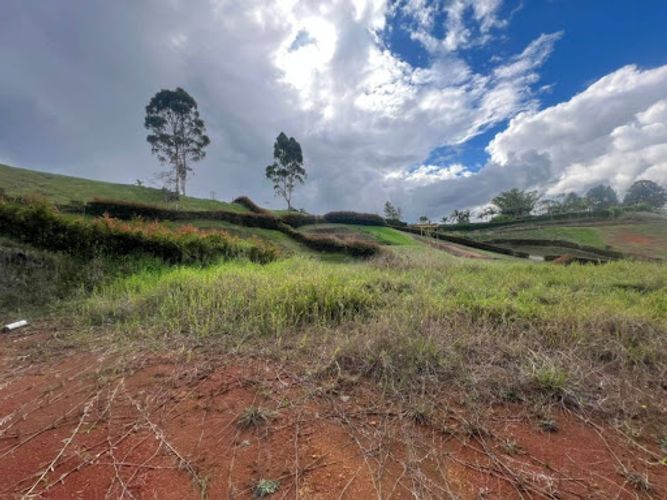 Lote en venta en Rionegro, 2534 m² · foto 3 de 12