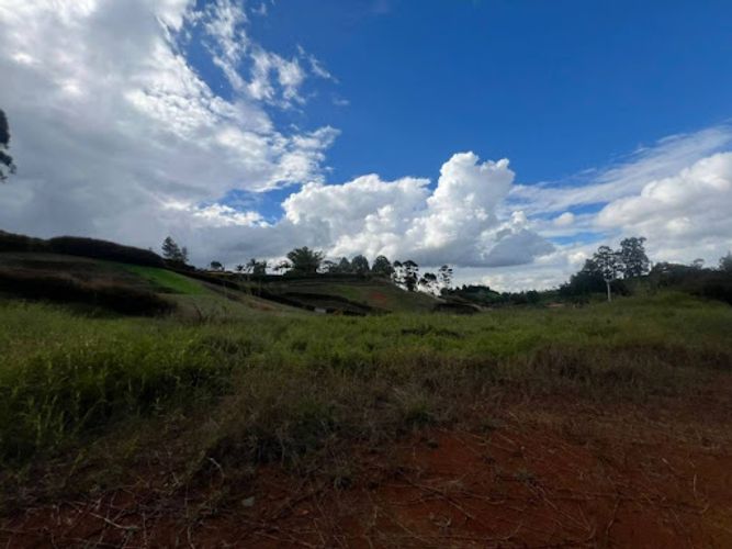 Lote en venta en Rionegro, 2534 m² · foto 5 de 12