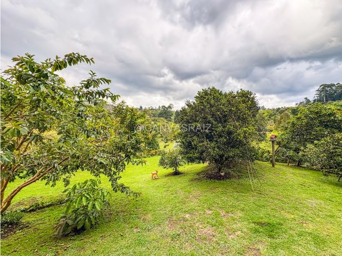 Finca en venta en La Mosquita, Guarne, 250 m² · foto 12 de 15
