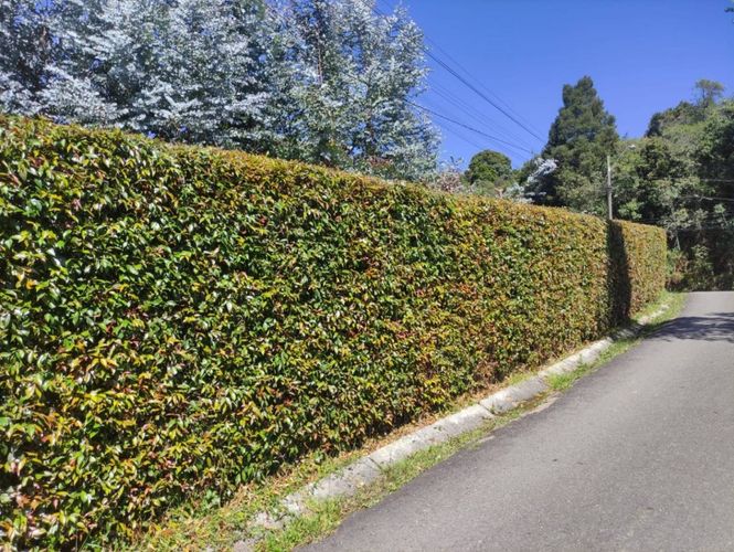 Casa de 7 alcobas en venta en Santa Elena, Envigado, 160 m² · foto 17 de 19