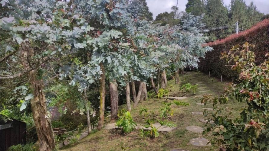 Casa de 7 alcobas en venta en Santa Elena, Envigado, 160 m² · foto 19 de 19