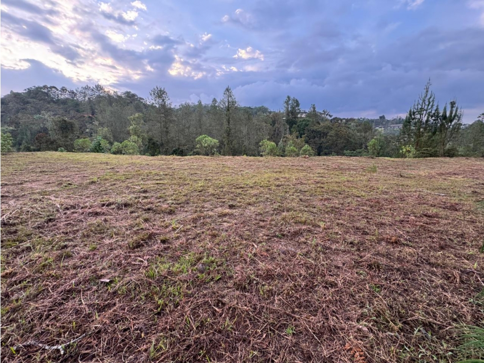 Land in Santa Elena (1977 m²) for Sale