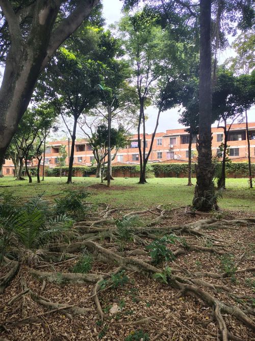 Casa de 4 alcobas en venta en Valle Del Lili, Cali, 170 m² · foto 7 de 23