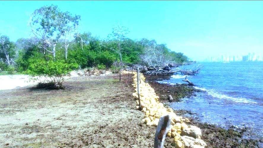 Lote en venta en Cartagena, 1573 m² · foto 9 de 12