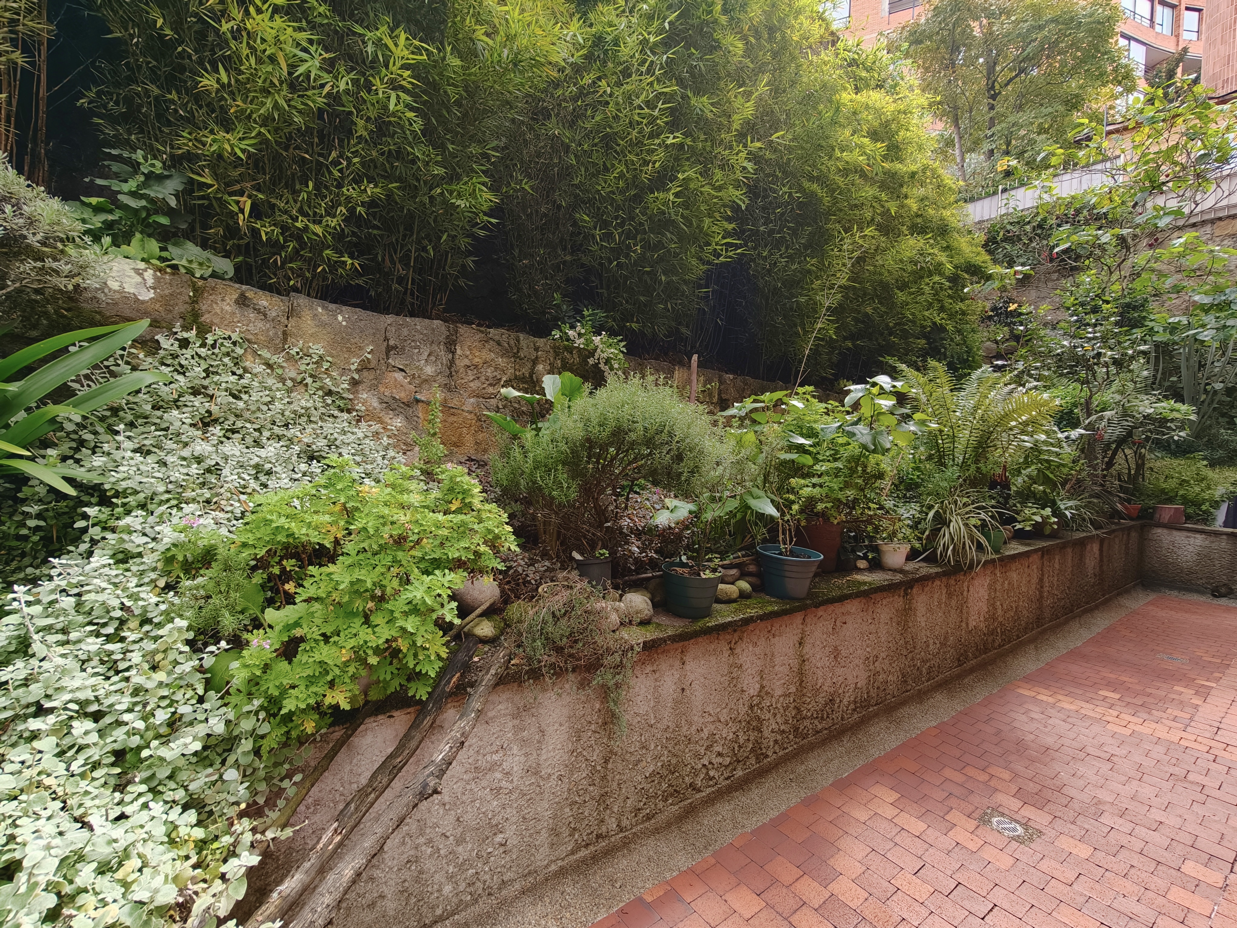 Apartamento en venta en Los Rosales, Bogotá · foto 2 de 12