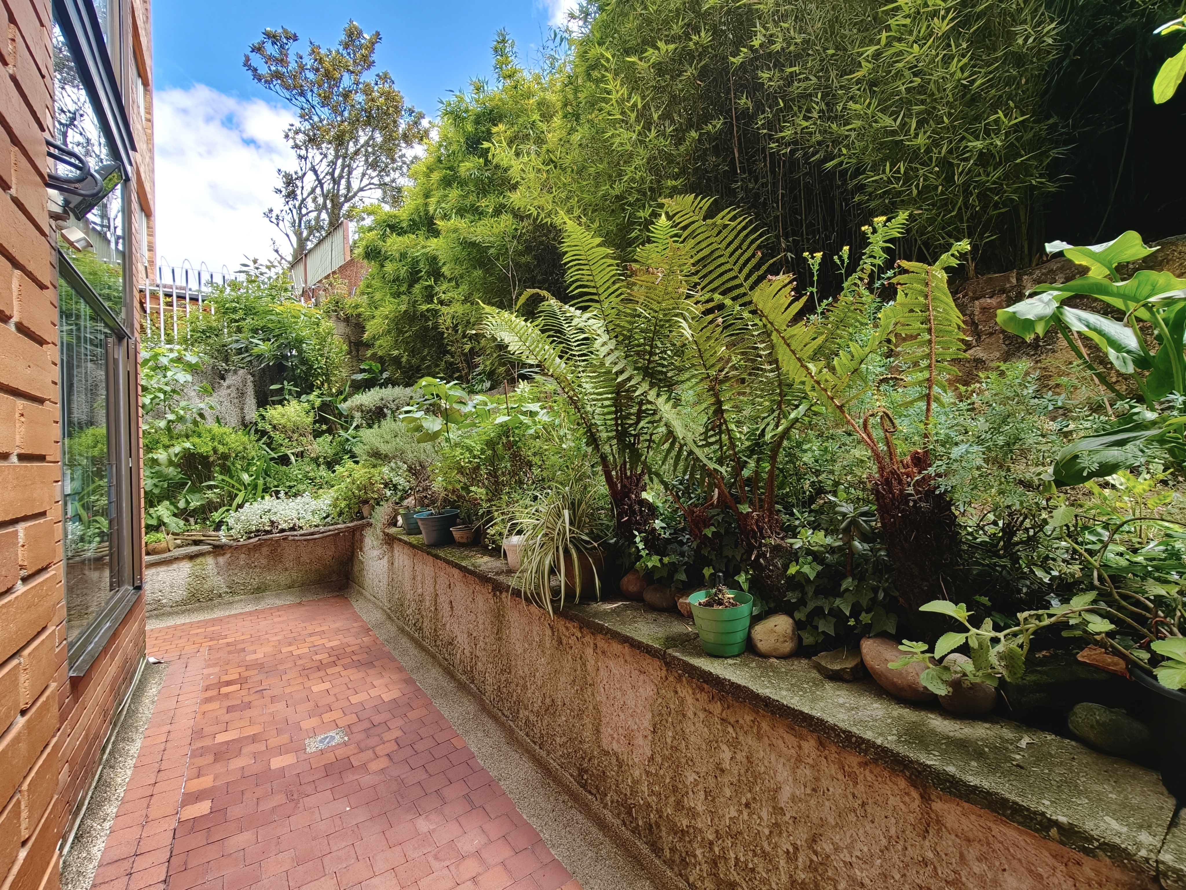 Apartamento en venta en Los Rosales, Bogotá · foto 6 de 12