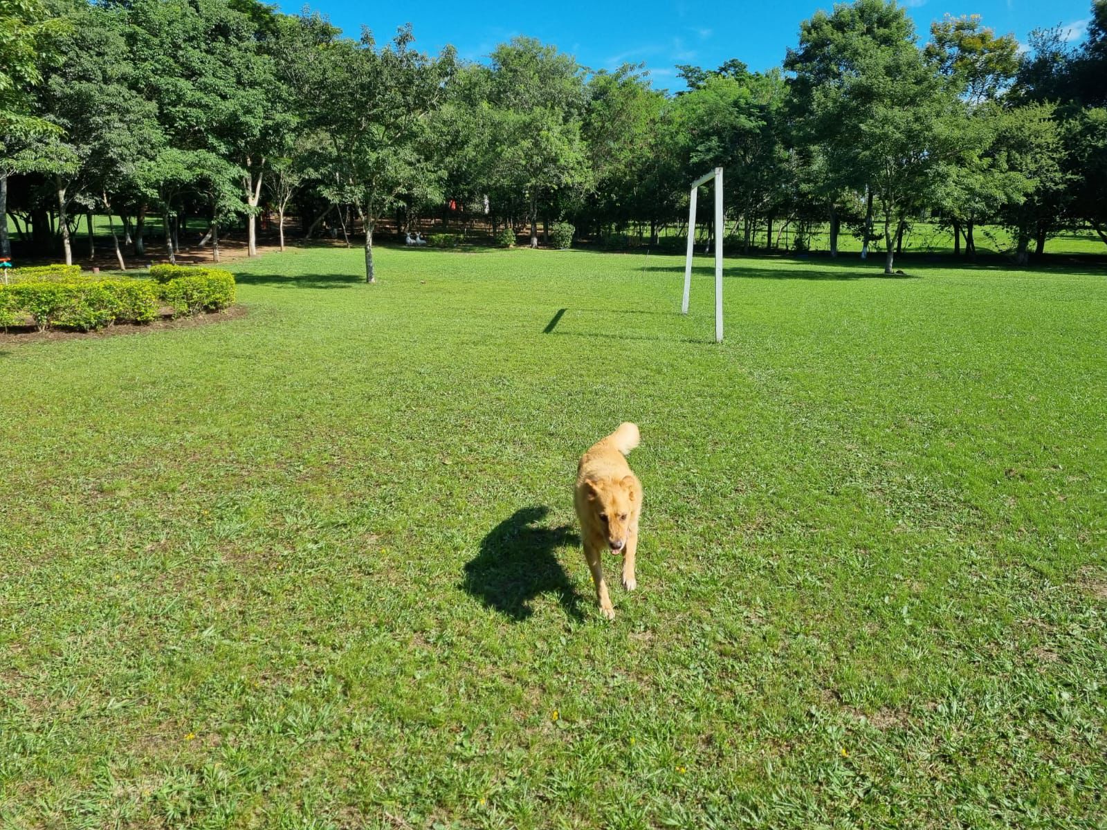 VENDO AMPLIA CASA QUINTA C/ CANCHA DE FUTBOL  EN LOMA GRANDE — foto 2
