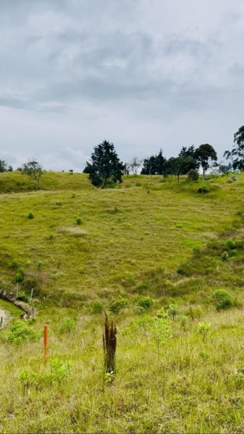Lote en venta en La Brizuela, Guarne, 13100 m² · foto 4 de 6