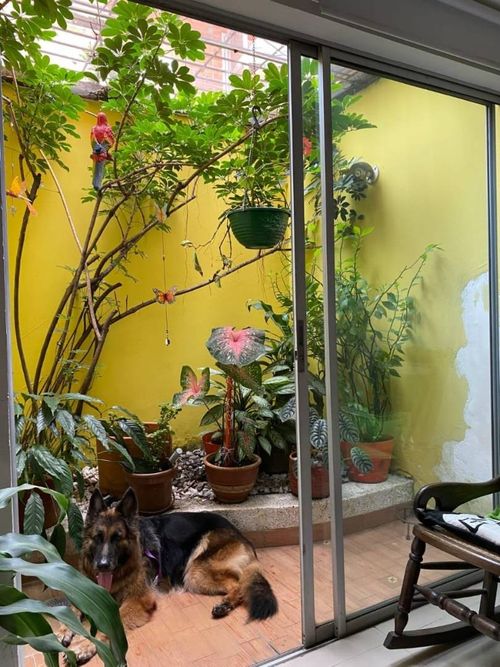 Casa de 5 alcobas en venta en El Castillo, Jamundí, 267 m² · foto 10 de 11
