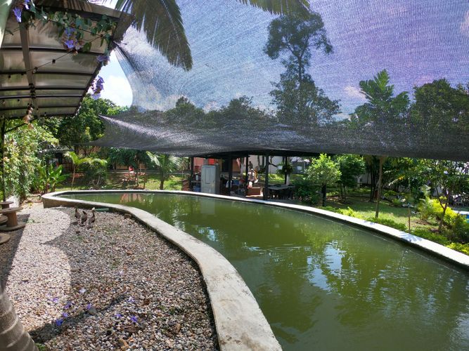 Casa de 5 alcobas en venta en Campo Verde, Piedecuesta, 1268 m² · foto 20 de 24
