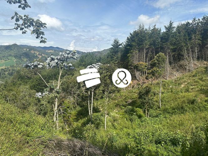 Lote en venta en Los Salados, El Retiro, 28800 m² · foto 8 de 10