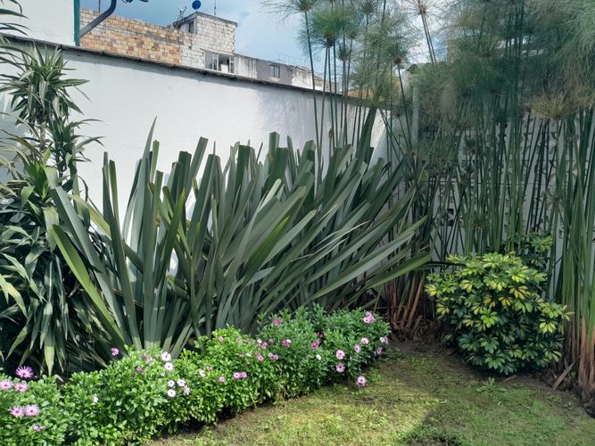 Casa de 4 alcobas en venta en Lisboa, Bogotá, 233 m² · foto 7 de 21