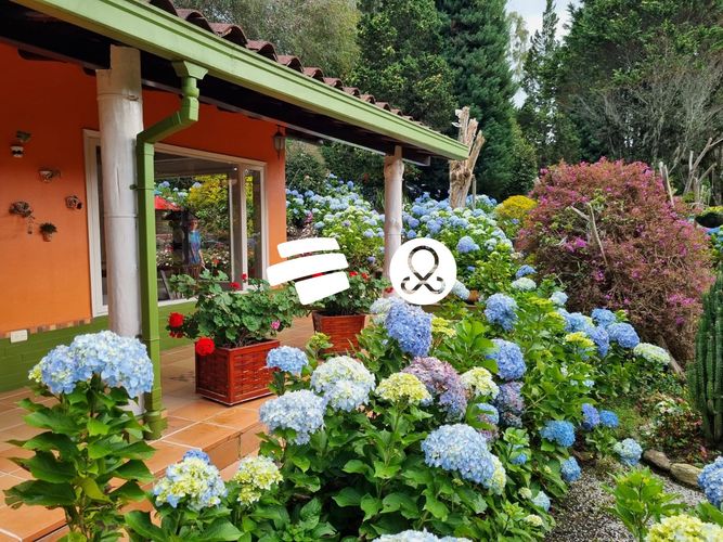 Finca en venta en Pantanillo, El Retiro, 3750 m² · foto 3 de 24