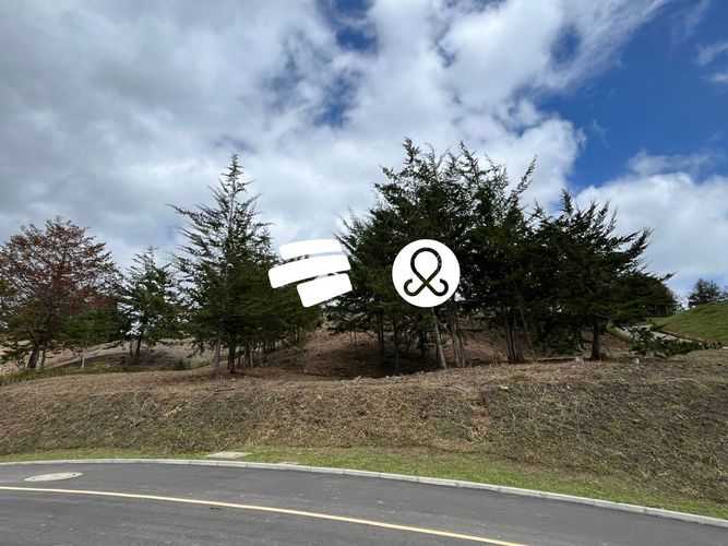 Lote en venta en El Carmen de Viboral, 2580 m² · foto 10 de 14