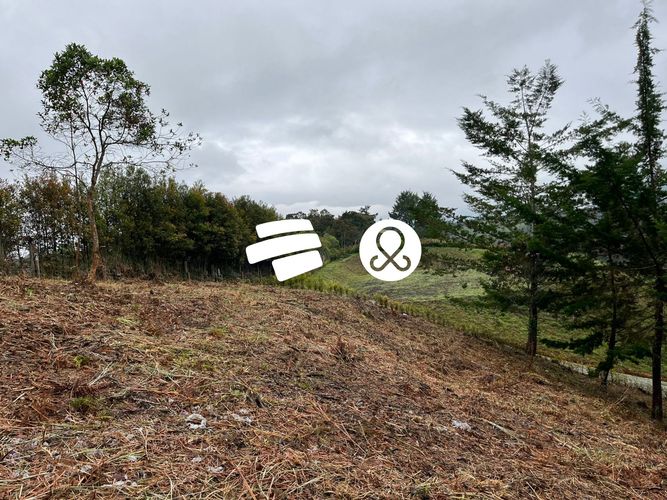 Lote en venta en El Carmen de Viboral, 2580 m² · foto 11 de 14