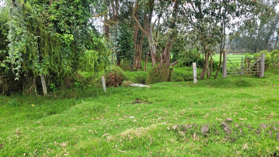 Finca en venta en El Corzo, Madrid, 400 m² · foto 3 de 5