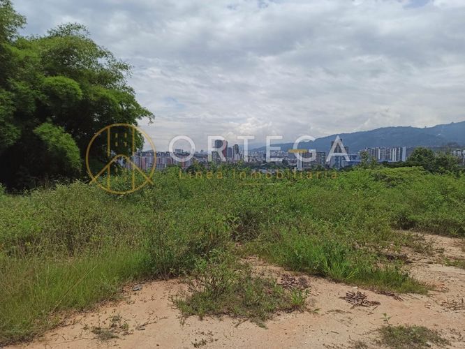 Lote en venta en Rio Frio, Floridablanca, 46000 m² · foto 4 de 8