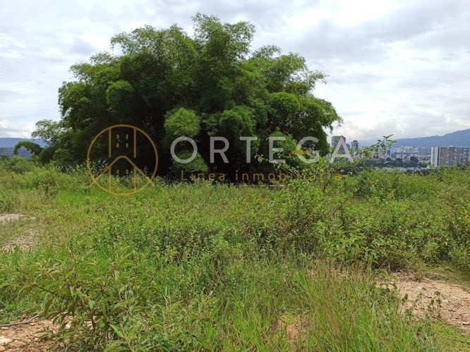Lote en venta en Rio Frio, Floridablanca, 46000 m² · foto 6 de 8