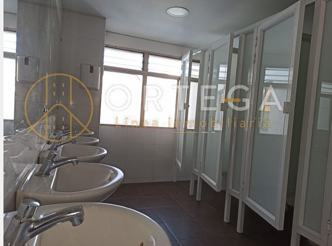 Oficina en arriendo en Centro, Bucaramanga, 365 m² · foto 9 de 15