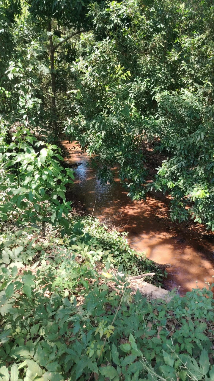 Terreno en venta en Pirayú — foto 3