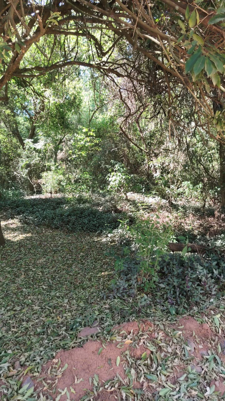 Terreno en venta en Pirayú — foto 2