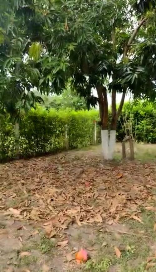 Casa de 2 alcobas en venta en Las Varas, Ricaurte, 450 m² · foto 9 de 10