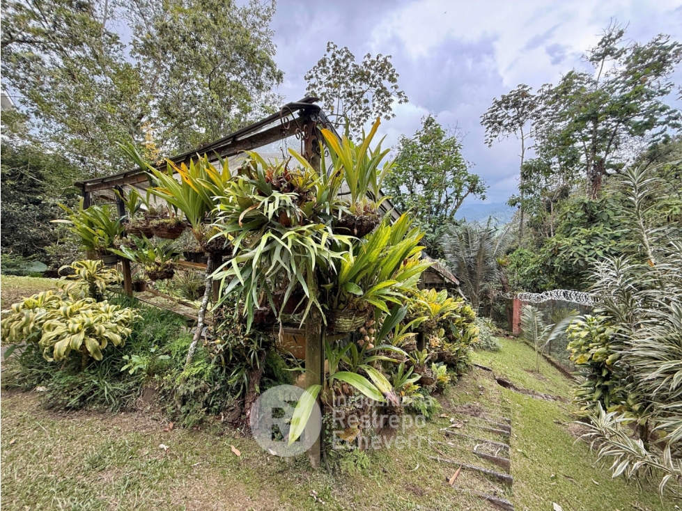 Casa en venta en Palermo, Manizales · foto 9 de 24