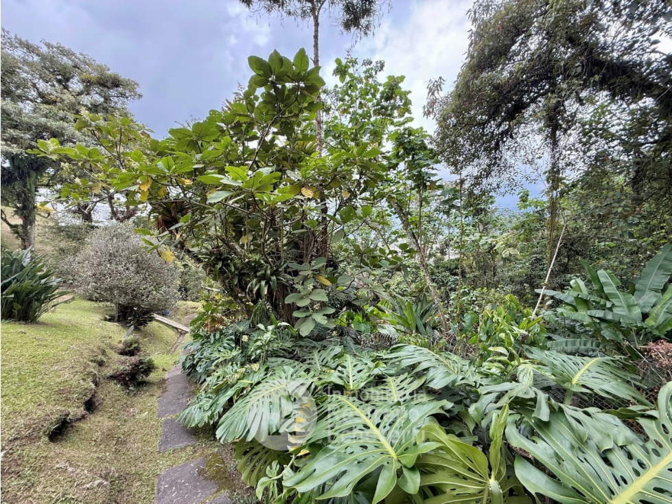Casa en venta en Palermo, Manizales · foto 10 de 24