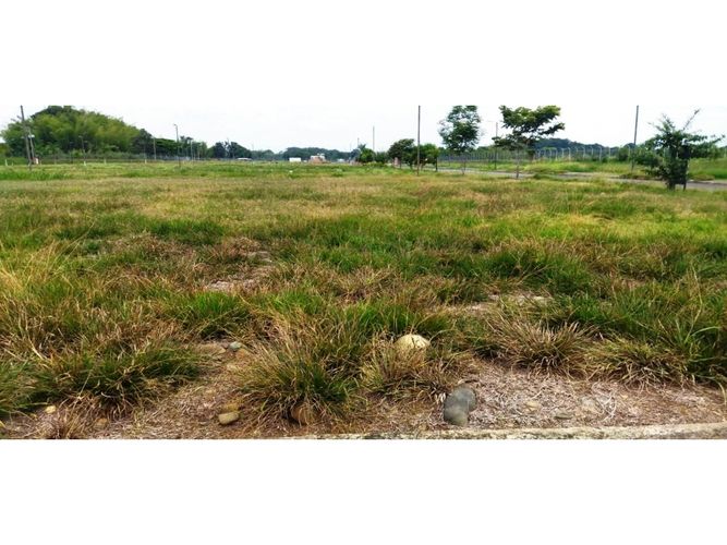 Lote en venta en Porerito, Jamundí, 150 m² · foto 18 de 21