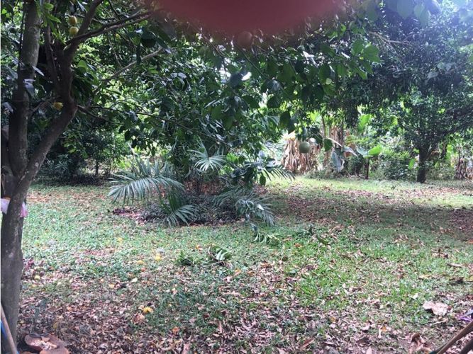 Casa de 5 alcobas en venta en Pance, Cali, 550 m² · foto 21 de 24