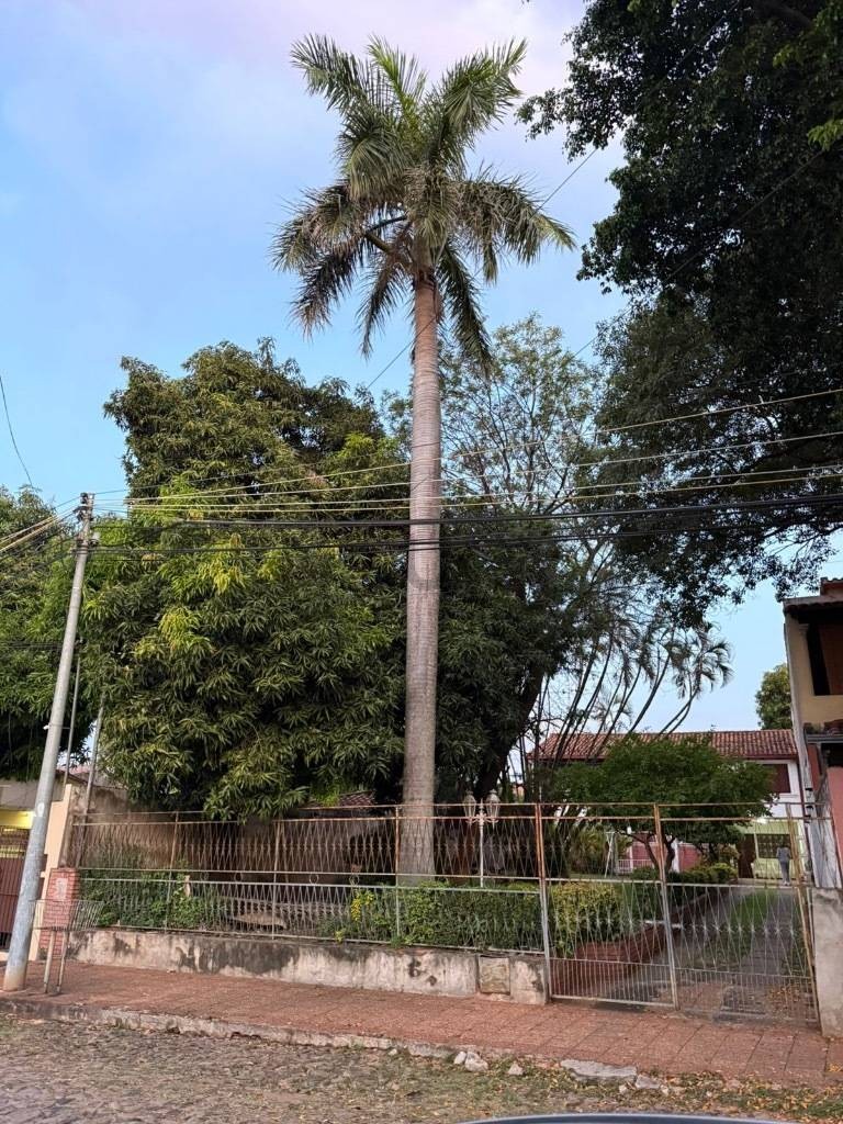 Terreno en Venta en Barrio Tembetary — foto 2
