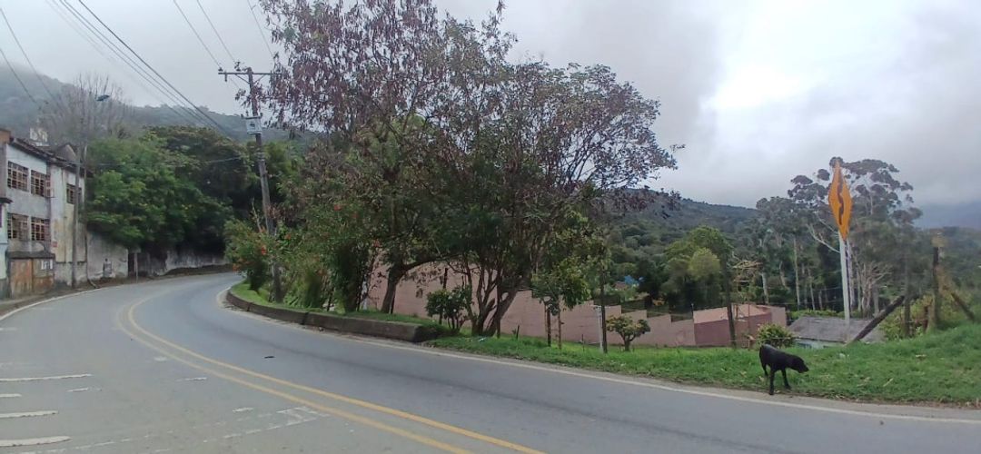 Lote en venta en El Saladito, Cali, 220 m² · foto 5 de 24