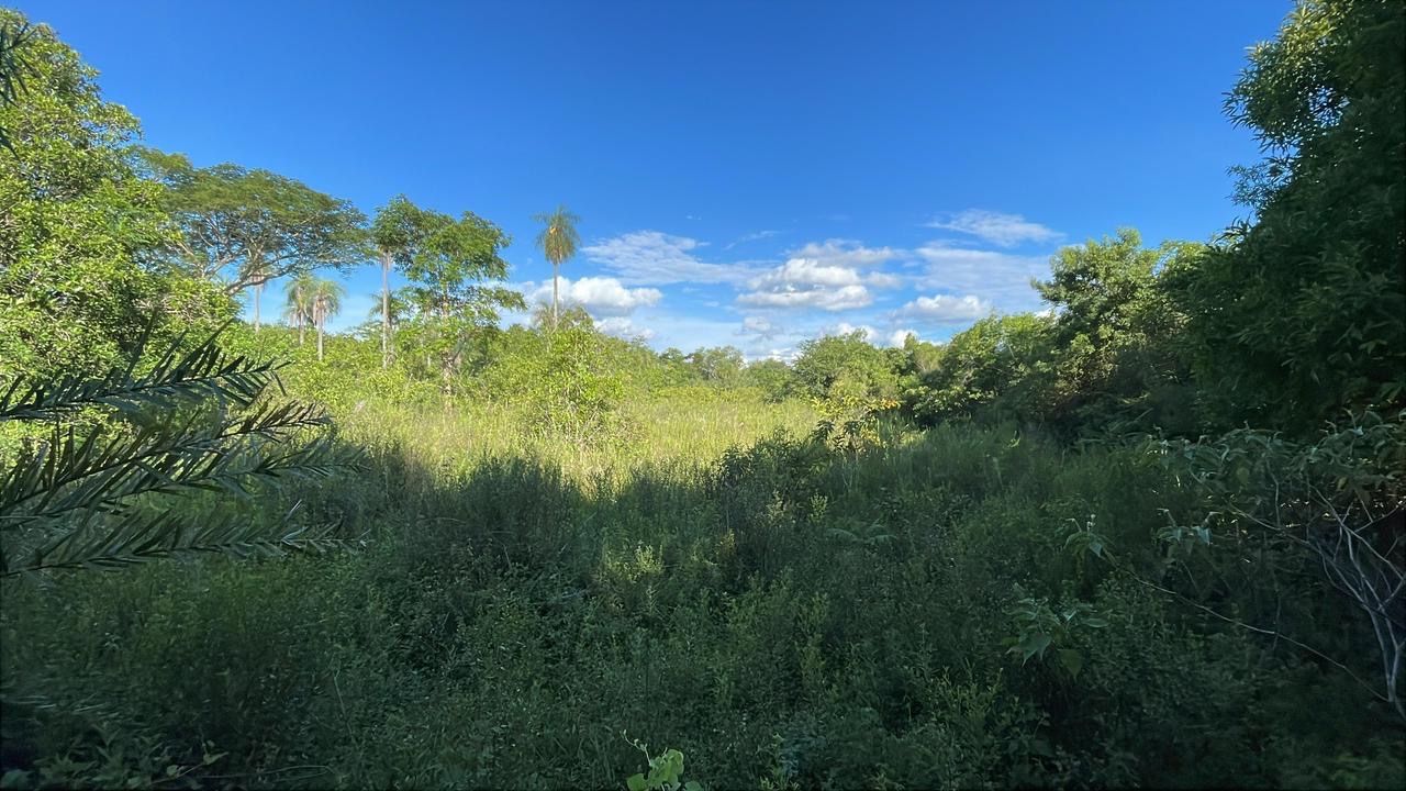 Vendo 6 hectáreas en Carapegua — foto 3