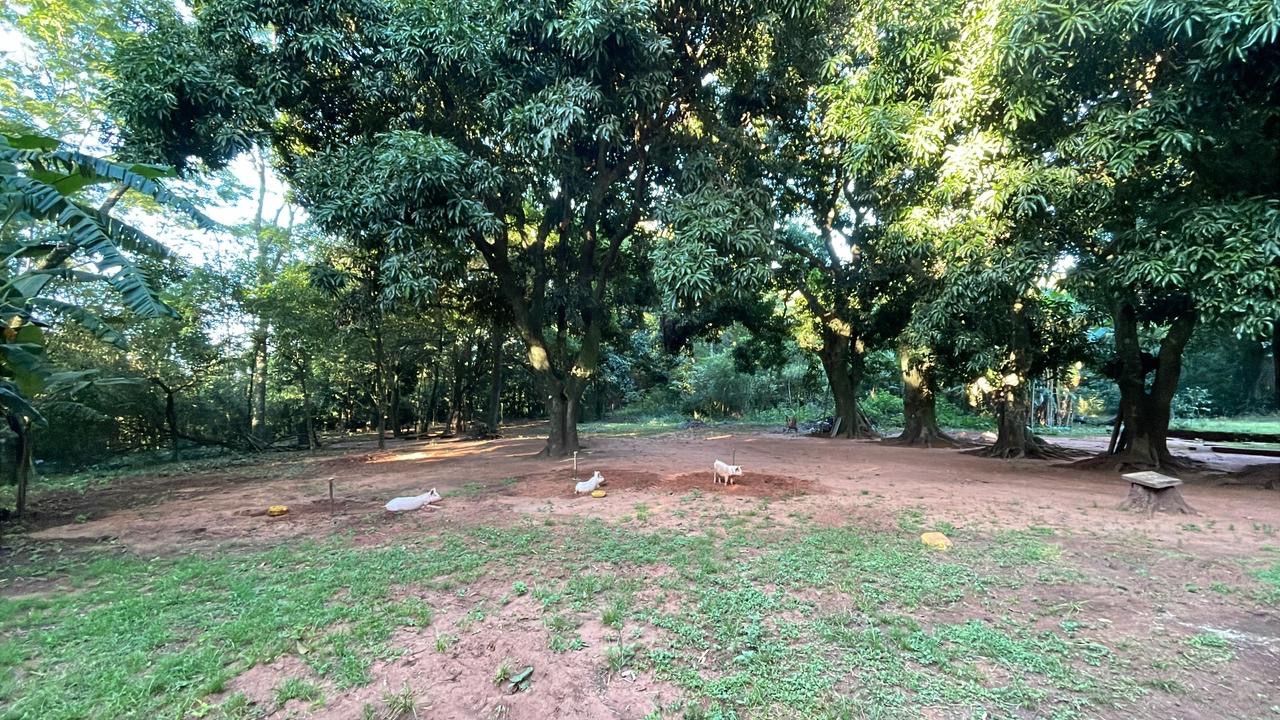 Vendo 2,5 hectáreas con casa en Acahay — foto 2