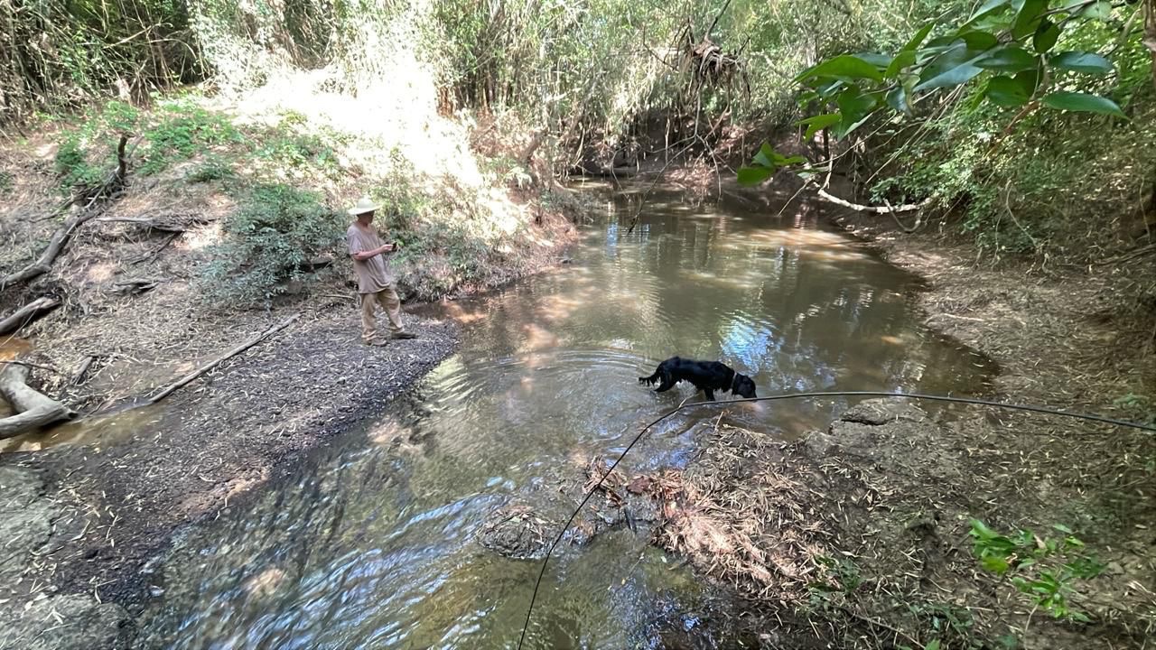 Vendo 34,6 hectáreas en Acahay — foto 2