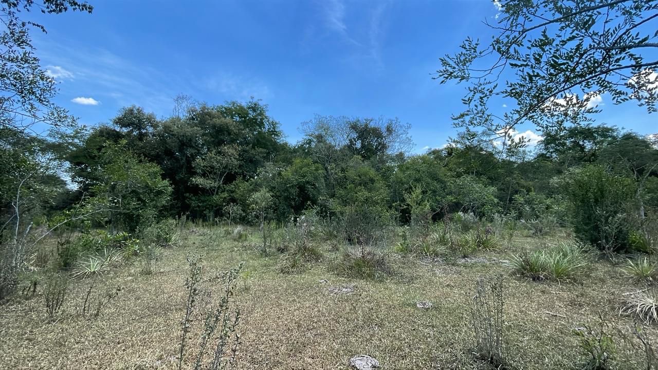 Campo en venta en Sapucai — foto 3