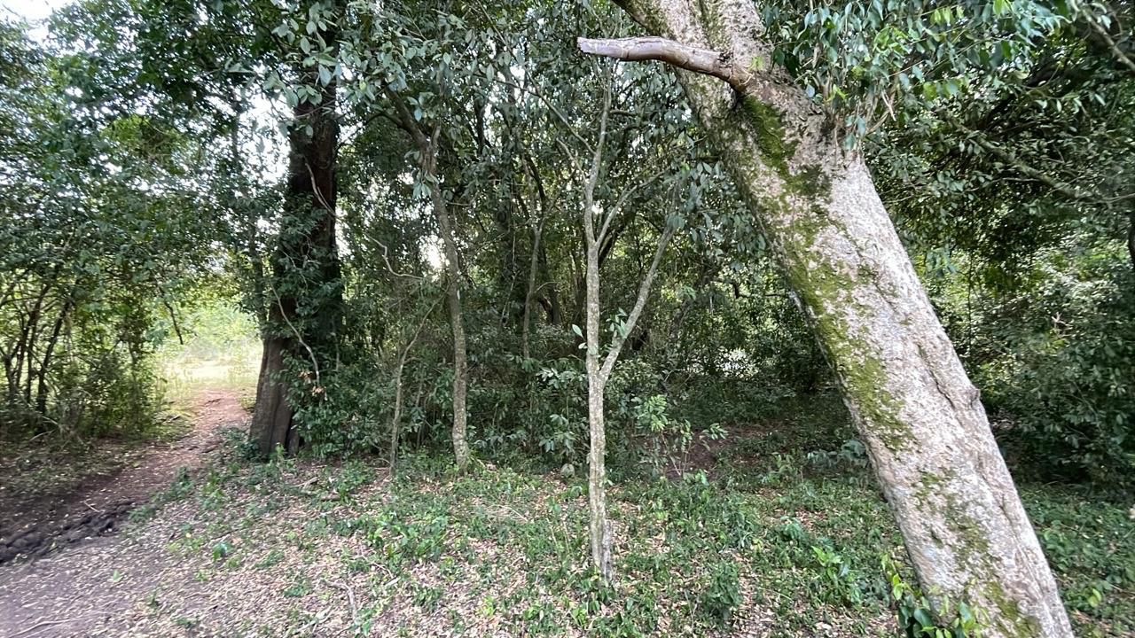 Campo en venta en Sapucai — foto 2