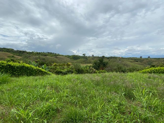 Lote en venta en Cerritos, Pereira, 1960 m² · foto 2 de 10