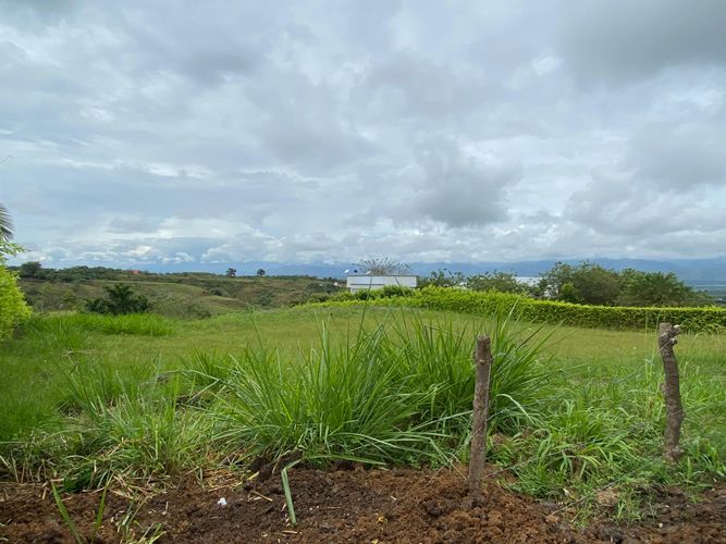 Lote en venta en Cerritos, Pereira, 1960 m² · foto 6 de 10
