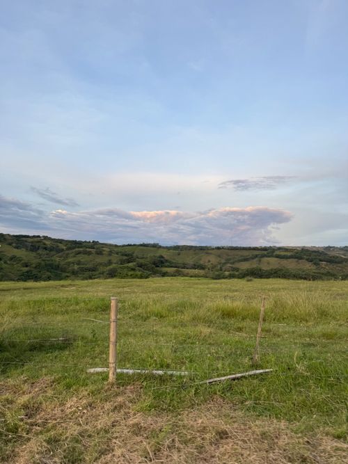 Lote en venta en Cerritos, Pereira, 10000 m² · foto 3 de 6