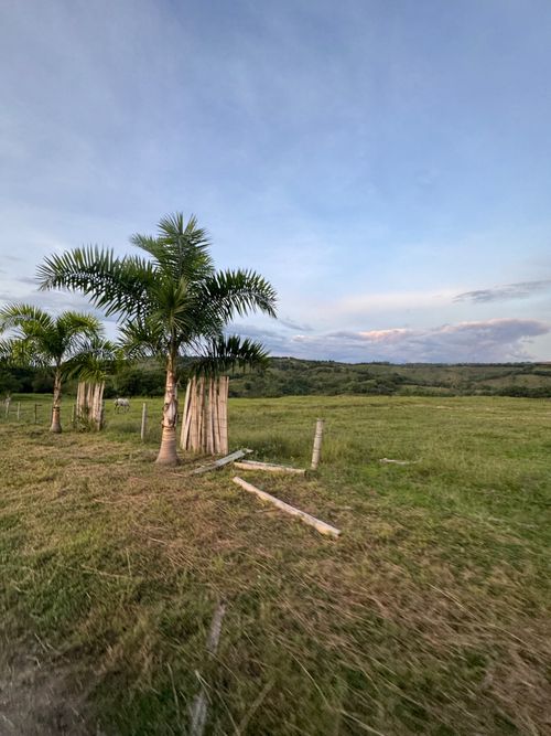 Lote en venta en Cerritos, Pereira, 10000 m² · foto 4 de 6