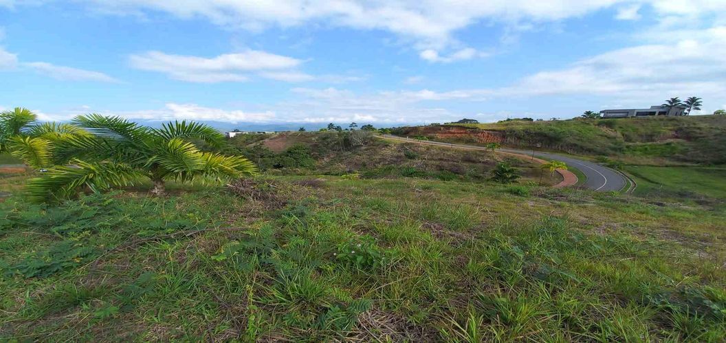Lote en venta en Cerritos, Pereira · foto 2 de 12