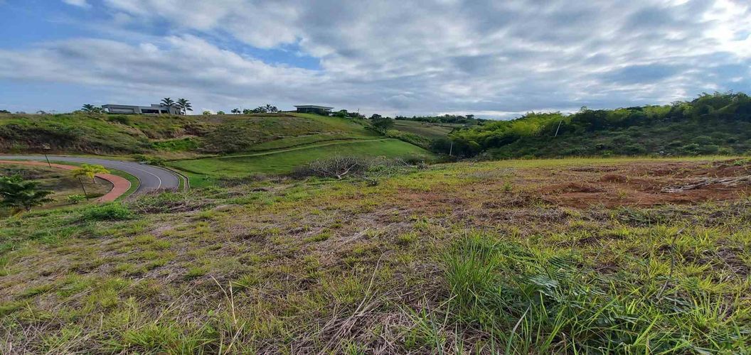 Lote en venta en Cerritos, Pereira · foto 4 de 12