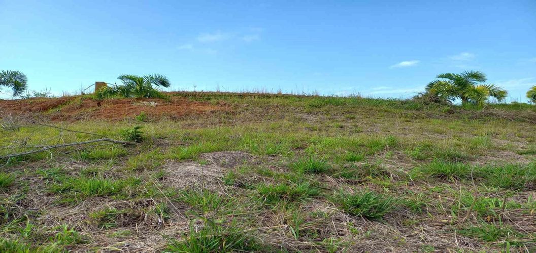 Lote en venta en Cerritos, Pereira · foto 9 de 12