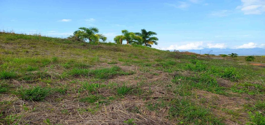 Lote en venta en Cerritos, Pereira · foto 10 de 12