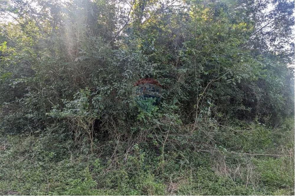 VENDO TERRENO NE LIMPIO — foto 3