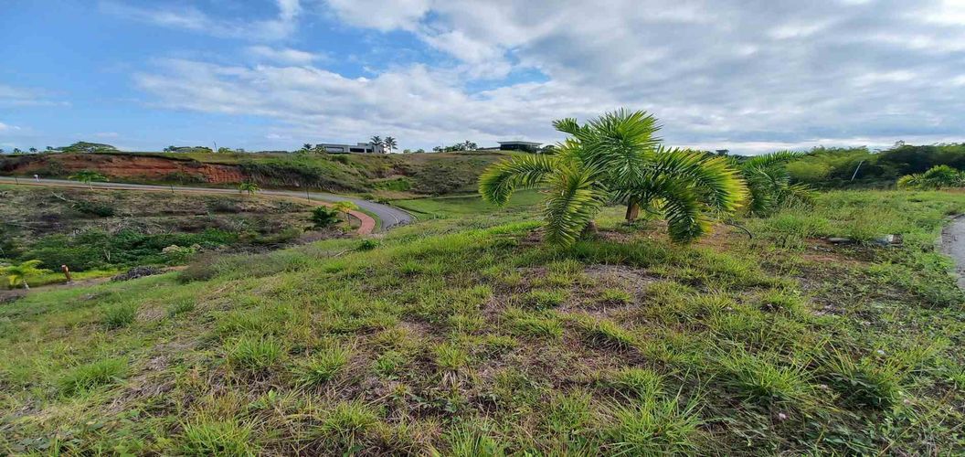Lote en venta en Cerritos, Pereira · foto 3 de 13